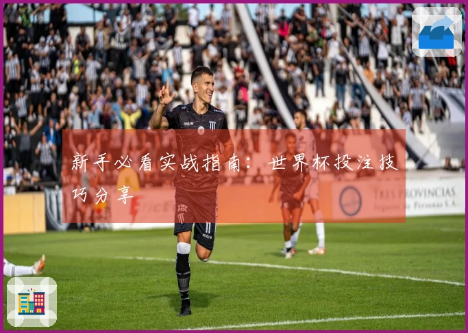新手必看实战指南：世界杯投注技巧分享