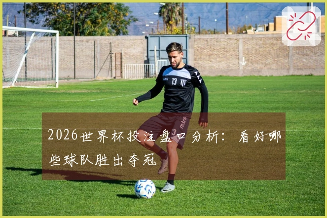 2026世界杯投注盘口分析：看好哪些球队胜出夺冠