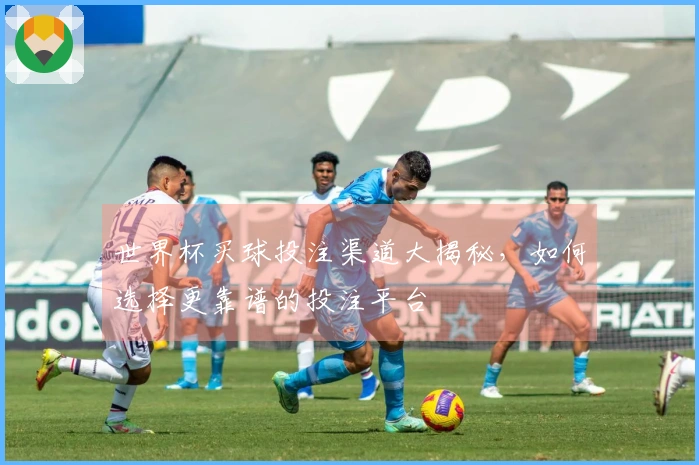 世界杯买球投注渠道大揭秘，如何选择更靠谱的投注平台