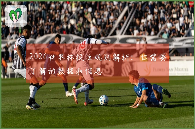 2026世界杯投注规则解析：你需要了解的数据和信息