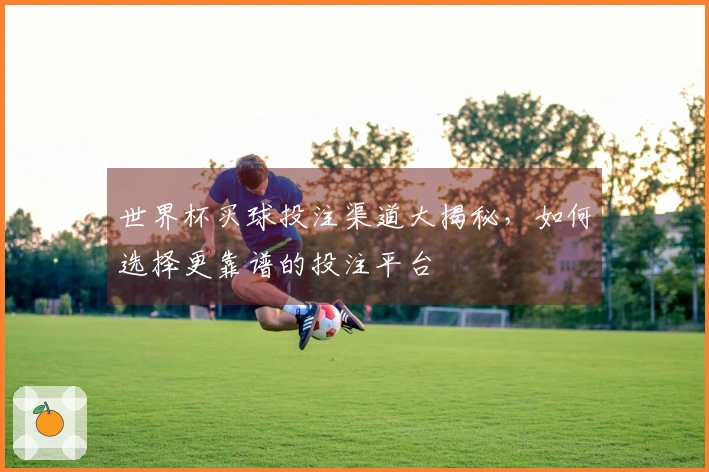世界杯买球投注渠道大揭秘，如何选择更靠谱的投注平台
