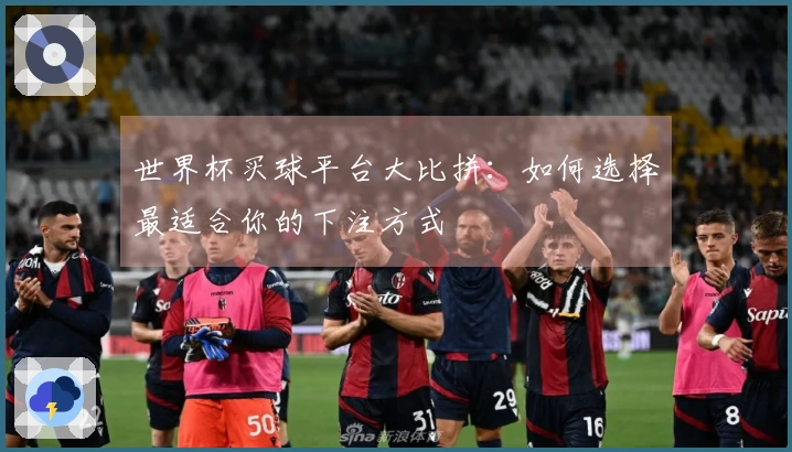 世界杯买球平台大比拼：如何选择最适合你的下注方式